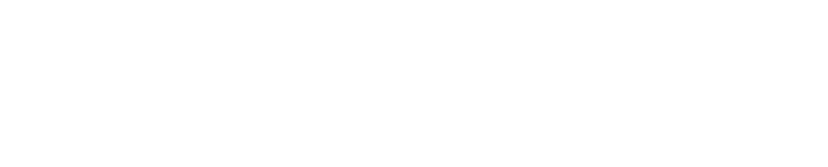 Trans.eu